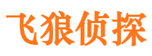 龙山寻人公司